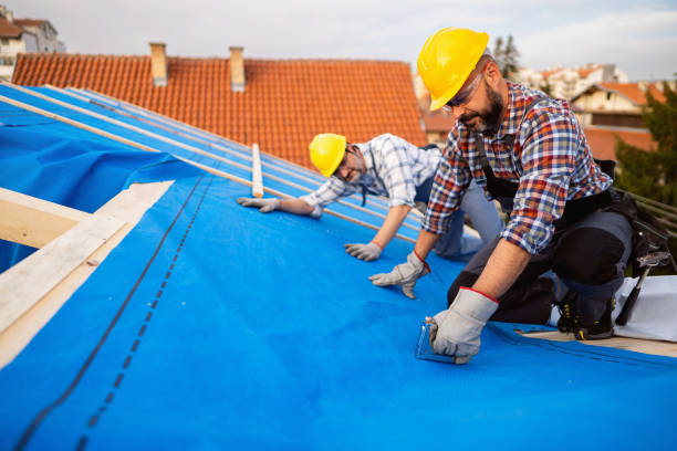 Best Roofing for New Construction  in South Hill, VA