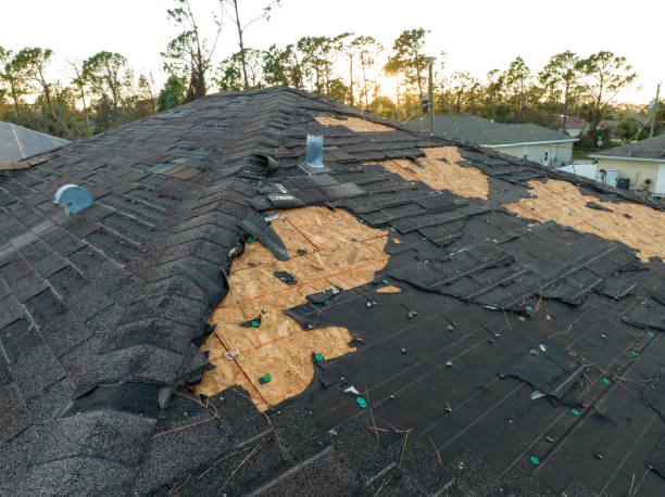 Best Storm Damage Roof Repair  in South Hill, VA